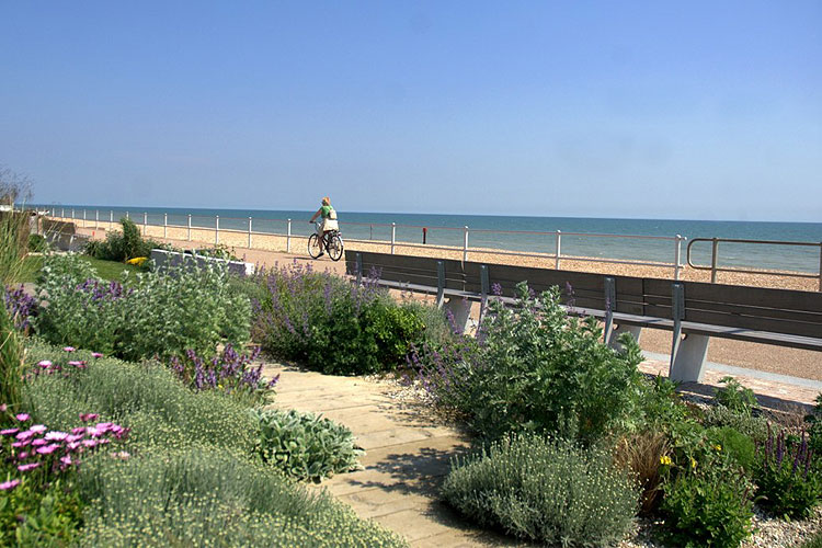 Cycling along the seafront