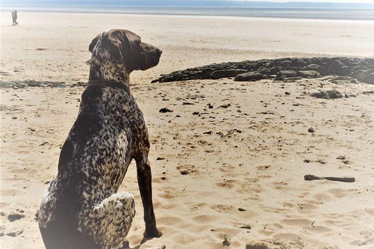 Bexhilo on Sea - sign